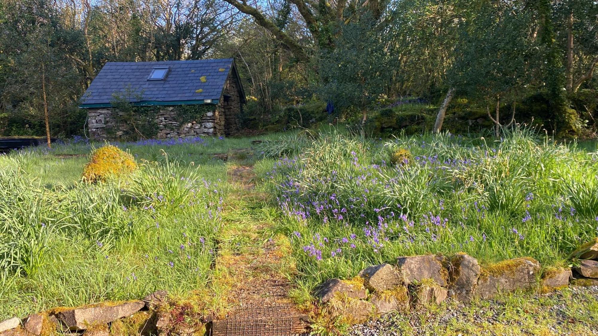 Sligo Forest Retreat Eksteriør bilde