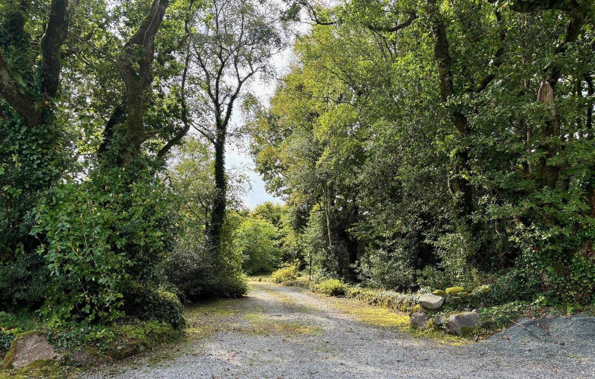 Sligo Forest Retreat Eksteriør bilde