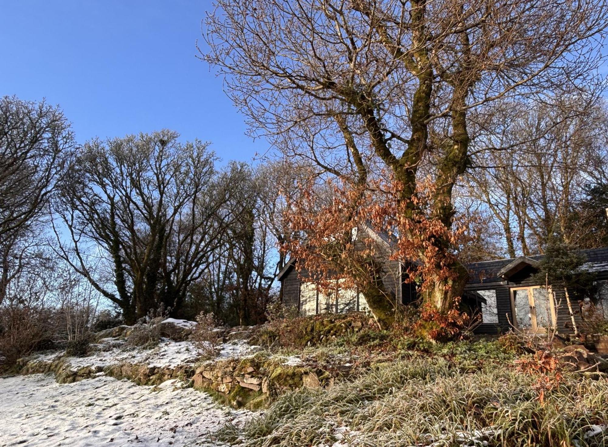 Sligo Forest Retreat Eksteriør bilde